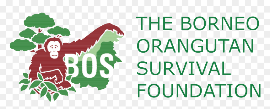Borneo Orangutan Survival Foundation